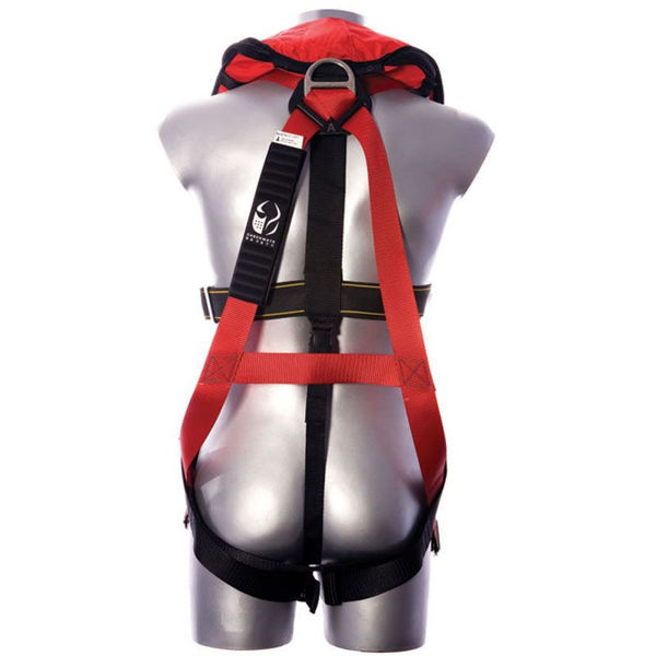 Picture of Guardian Checkmate PBH08-150N Two Point Body Harness