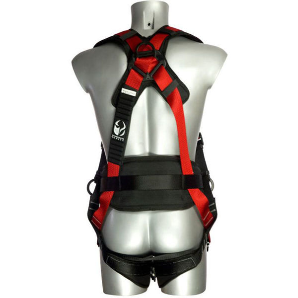 Picture of Checkmate PBH011 Four Point Harness
