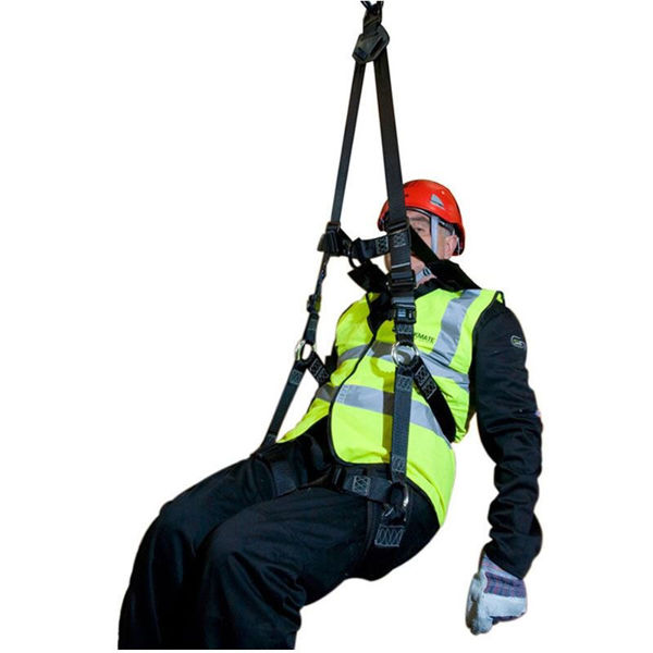 Picture of Checkmate PBH12-SUPINE Two Point Body Harness