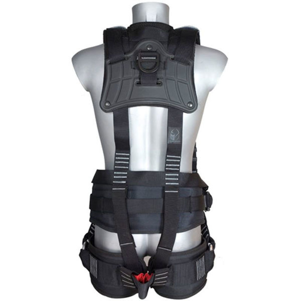 Picture of Checkmate PBH14 Four Point Body Harness