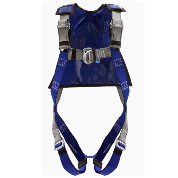 Picture of Ikar IKG2AJP Two Point Body Harness