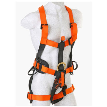 Picture of SAR Raptor Full Body Harness
