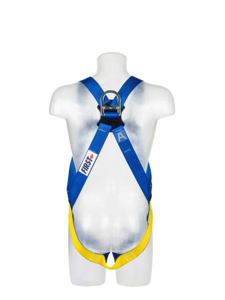 Picture of PROTECTA AB17511 First 1Point Body Harness