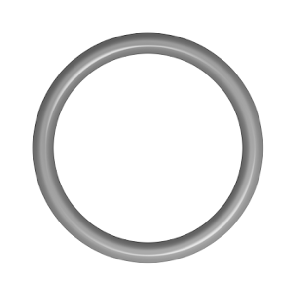 Picture of Stainless Steel Round Rings - SSRR