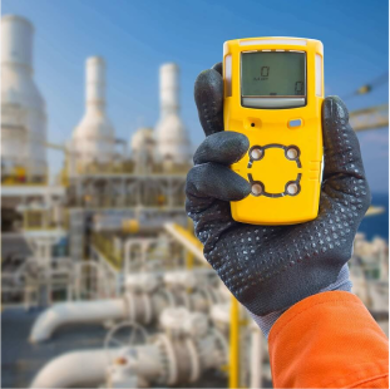 Picture for category Gas Detection