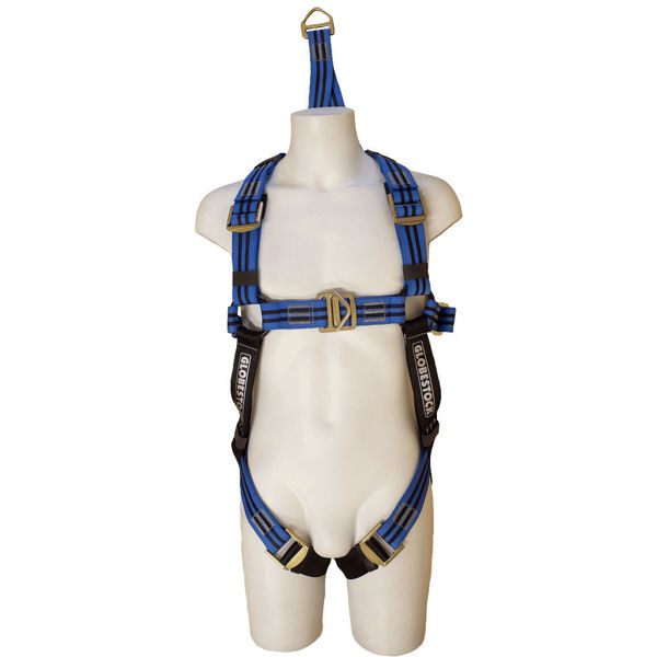 Picture of Globestock Rescue Harness