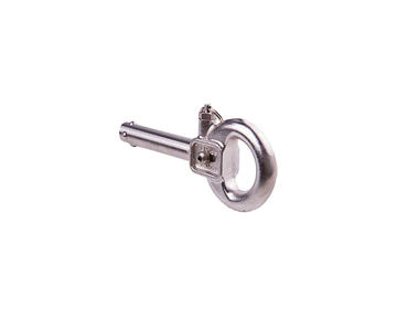 Picture of Guardian Checking removable stainless steel eyebolt