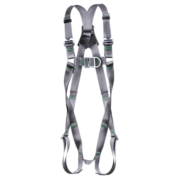 RidgeGear RGH2 ECO 2 Point Harness