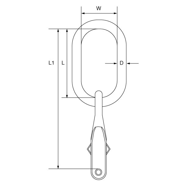 Picture of Grade 10 Master Link Single Leg - G10DG16