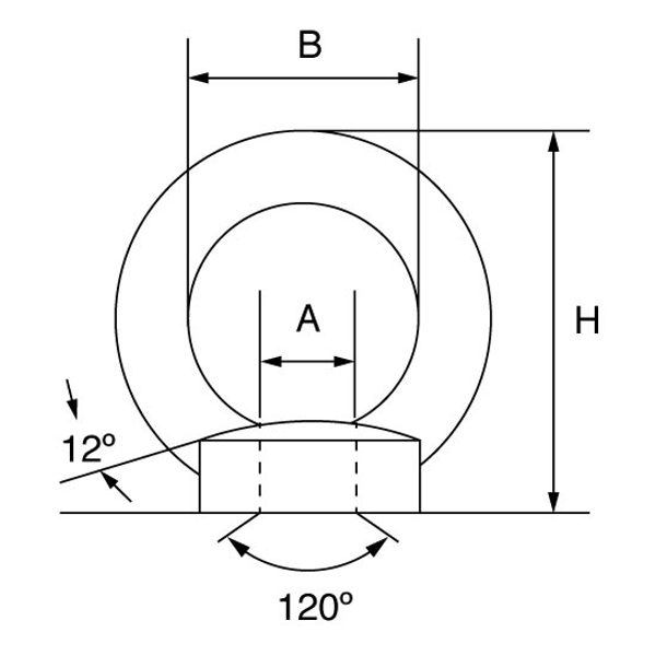 Picture of GT Stainless Steel Load Rated Eyenut