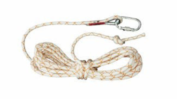 Picture of DBI-SALA AL422 Protecta Rope Work Positioning Lanyard