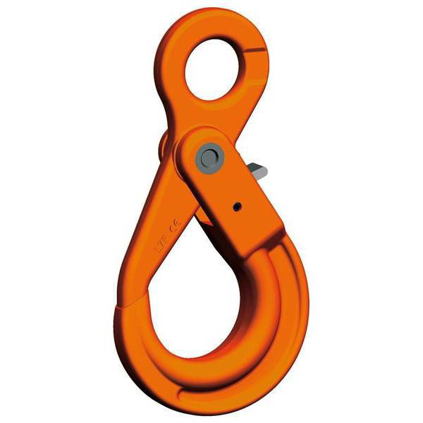 PEWAG 5/6mm winner Grade 10 Eye Safety Hook