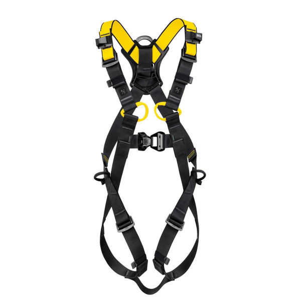 newton_international_harness