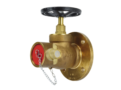 Picture for category Fire Hydrant Valves 