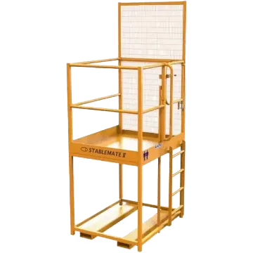Picture of Acess Platform - Two  Person - Gated - Raised